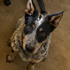 Meet your Posher, Catherine